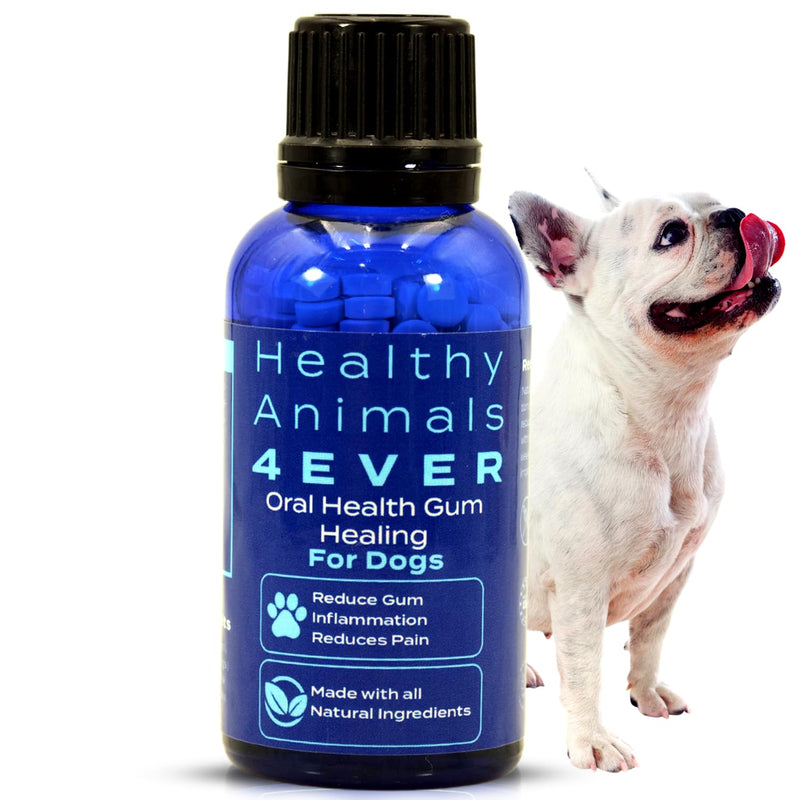 Healthy Animals 4 Ever Oral Health Gum Healing for Dogs - Relieves Inflammation, Soothes Pain, Fights Gum Disease - Natural, Non-GMO, Organic - Gluten, Preservative & Chemical Free Supplement - 300 ct - PawsPlanet Australia