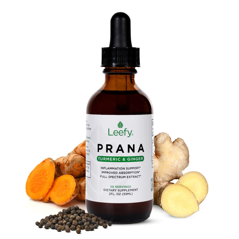 Leefy Organics PRANA - The Original Organic Liquid Turmeric Curcumin and Ginger Extract with Black Pepper | Supplement to Support Heart, Brain, Joint Health, Inflammatory Response, Immunity, Drops - BeesActive Australia