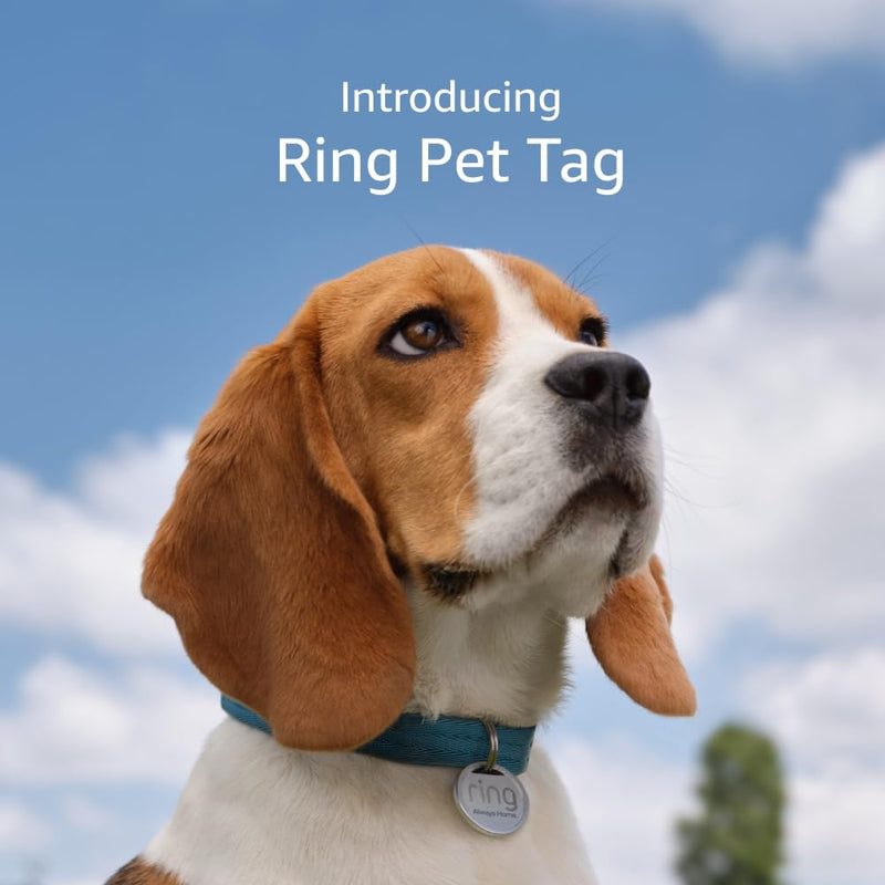 Ring Pet Tag | Easy-to-use tag with QR code | Real-time scan alerts | Shareable Pet Profile | No subscription or fees 1 Pet Tag - BeesActive Australia