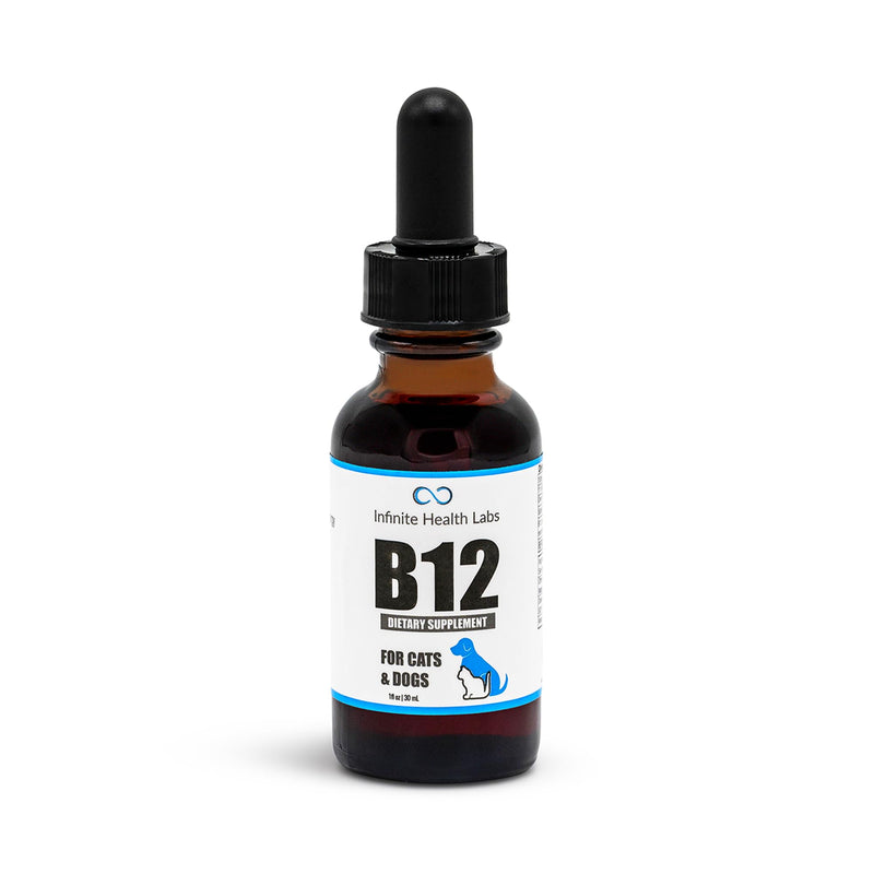 Liquid Vitamin B-12 for Dogs and Cats - Vet Formulated - Effective for All Animals Methylcobalamin (Methyl B12) - Energy, Appetite and Mood - Made in USA - PawsPlanet Australia