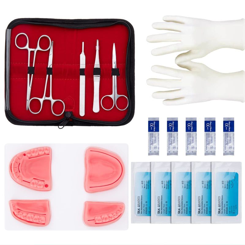 Dental Practice Kit - 25 Pcs Set Oral Practice Kit Include 4 Soft Silicone Oral Pad Training Kit for Dentist Assistant Training & Student Practice - BeesActive Australia