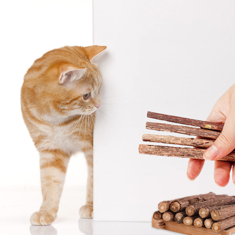 Silvervine for Cats, Cat Chew Stick, Catnip Toys Matatabi Wooden Sticks (25pcs) 25pcs - BeesActive Australia