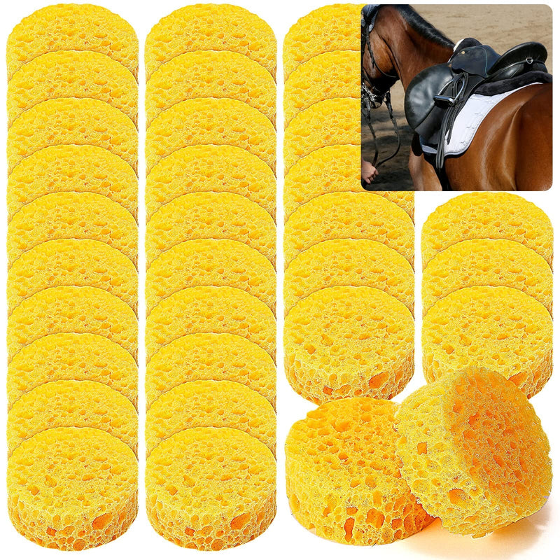 30 Pcs Tack Cleaning Sponges Horse Saddle Sponge Tack Sponges for Leather Saddle Horse Supplies Boot Crafts Ceramics Household Use and More, Medium Hole Round, 2.83 x 1.18 Inches - BeesActive Australia