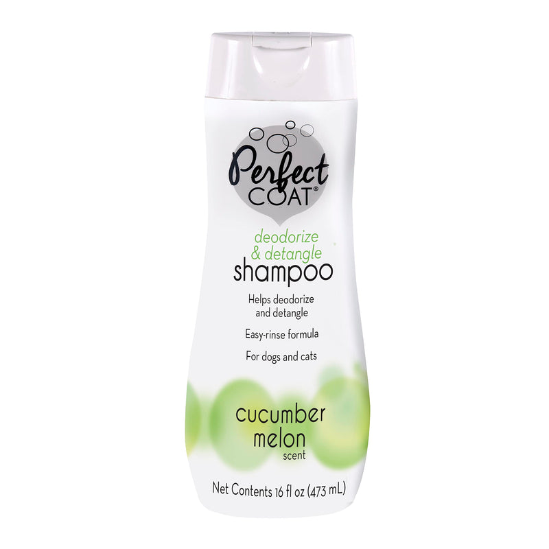 Detangle & Deodorize Shampoo - BeesActive Australia