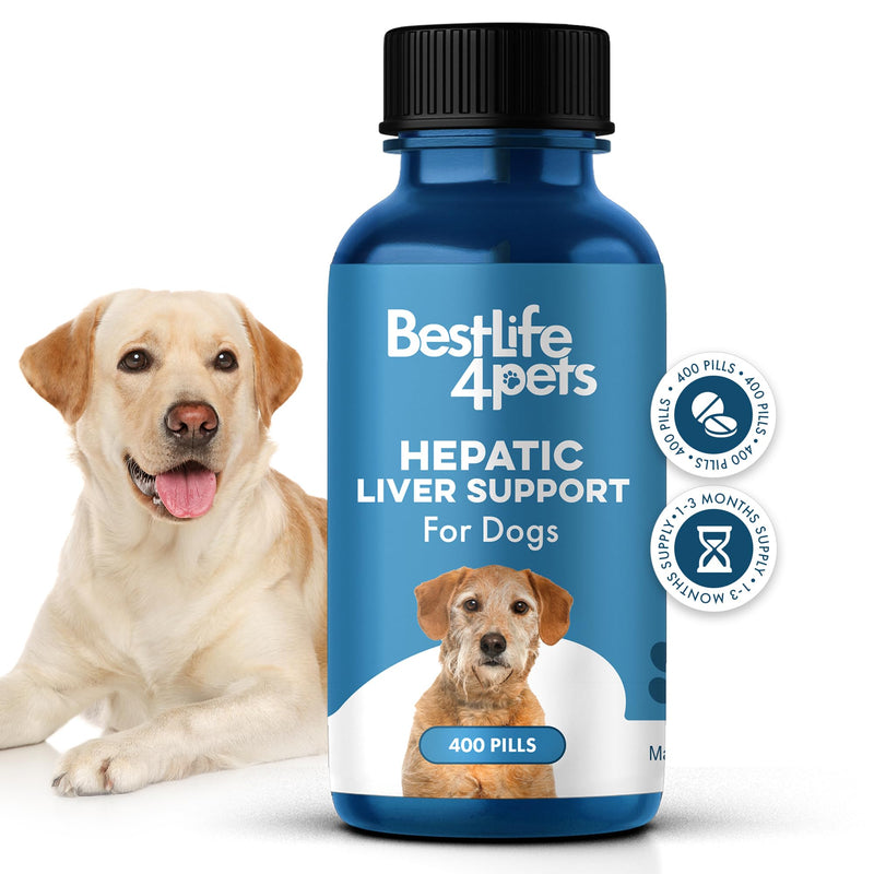 Hepatic Liver Support for Dogs, Dissolvable Homeopathic Digestive Canine Supplement for Liver Detox and Nutrient Absorption, 100% All Natural, Easy to Give, Free of Chemicals or Additives, 400 Pills - PawsPlanet Australia