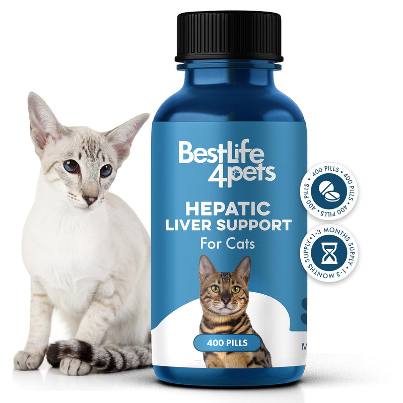 Hepatic Liver Support for Cats Dissolvable,Homeopathic, Digestive Feline Supplement for Liver Detox and Nutrient Absorption 100% All Natural, Easy to Give, Free of Chemicals or Additives, 400 Pills - BeesActive Australia