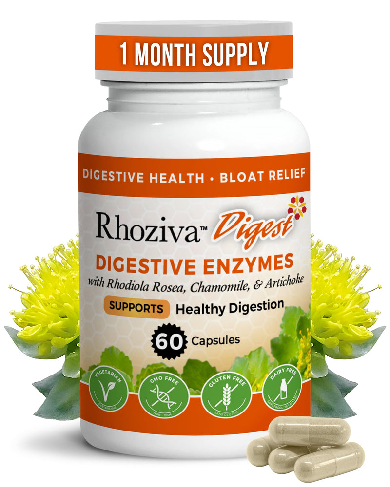 Digest Gut Health Supplement with Digestive Enzymes for Men & Women - Probiotics & Prebiotics for Gut Health Supplement - Daily Synbiotic Gut Vitamins for Men & Women - 60 Capsules