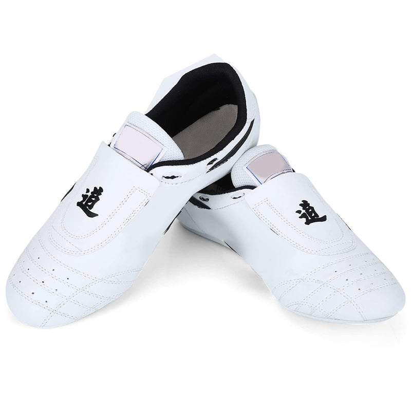 Dilwe Kong Fu Shoes, Reliable Taekwondo Shoes for Men and Women Children, White 37 M EU