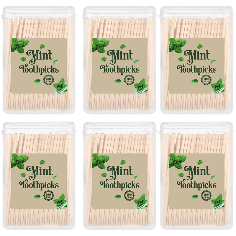 600 Pcs Bulk Mint Toothpicks Wood Toothpicks Mint Flavored Toothpicks with 6 Clear Plastic Boxes for Kitchen Appetizers Fruit Tray Essential Teeth Dental Care - BeesActive Australia