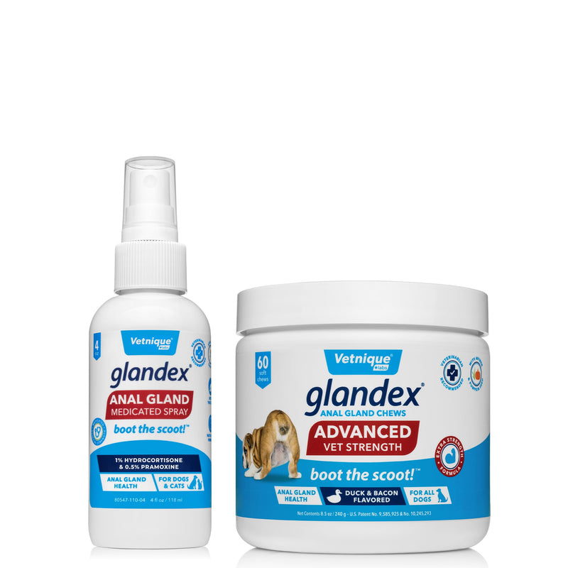 Glandex Anal Gland Medicated Spray for Dogs & Cats (4oz) and Advanced Vet-Strength Chews 60 Ct Bundle, Dog Deodorizing Spray & Anti-Itch Spray for Dogs, Anal Gland Supplement for Dogs with Extra Fiber - PawsPlanet Australia