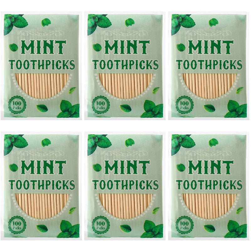 600 Pcs Mint Toothpicks Bulk Flavor Menthol Toothpicks Wood Flavored Toothpicks for Adults Natural Wooden Tooth Pick for Humans Teeth Oral Dental Health - BeesActive Australia
