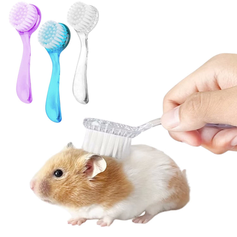 3 Pack Hamster Brush - Small Animal Bath Brush with Lid Soft Cleansing Brush Massage Combs for Hedgehog Guinea Pig Rabbit Chinchilla Ferret Small Animal Grooming Tool Cleaning Supplies (3 Pack) 3 Pack - BeesActive Australia