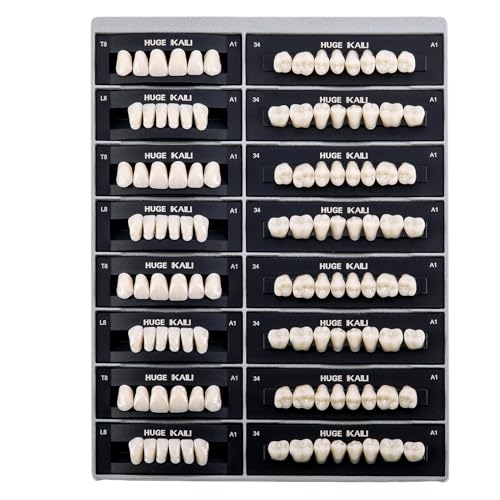 JMU 112 Pcs Dental Acrylic Resin Denture Teeth Shade A1 T8-4 Sets, False Teeth for Replacement, Halloween, DIY (28 Pcs/Set) T8, 4 Set