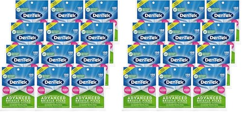 DenTek Deep Clean Bristle Picks | Removes Food & Plaque | 100 Count | Pack of 24 100 Count (Pack of 24)