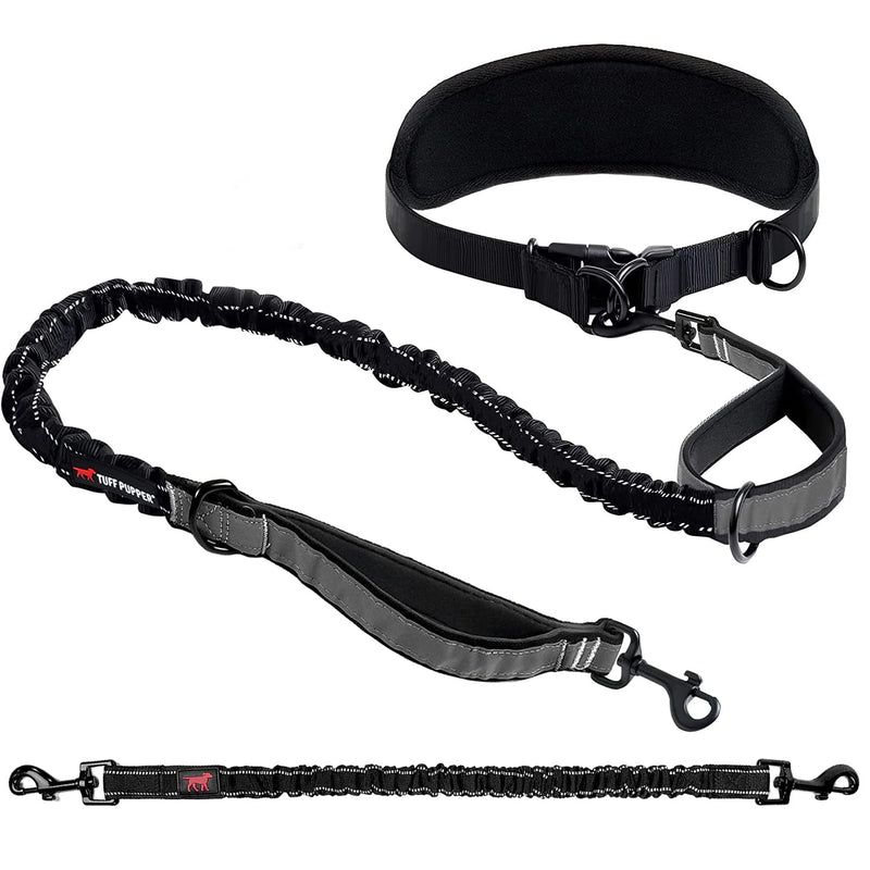 Add-On Accessory Bungee Leash and Hands Free Dog Leash - One Large Dog Up to 125 lbs