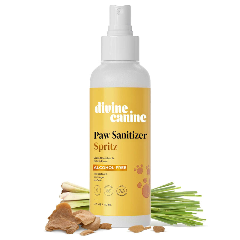 Dog Paw Cleaner - 5.1 Fl Oz of Alcohol Free Paw Sanitizer Spritz - Made with Aloe, Copaiba Oil, and Lemongrass Oil to Nourish and Clean Paws - Made in The USA Original - BeesActive Australia