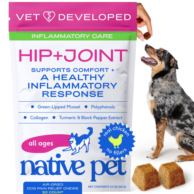 Native Pet Inflammatory Care - Pain Relief for Dogs - Green-Lipped Mussel, Turmeric & Collagen for Dogs - Hip and Joint Supplement Supports Healthy Inflammatory Response & Joint Comfort - 30 Chews 30 Servings