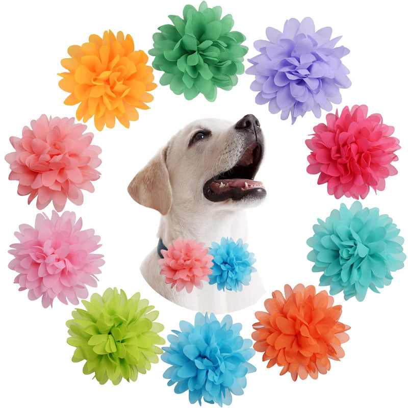10 Pieces Dog Collar Flowers Accessories Girl Boy Dog Flower Bow Ties Cat Puppy Charms Flower Collars Bows Grooming Supplies (9 cm/ 3.54 Inch) 10pcs Flower 3.54" - BeesActive Australia