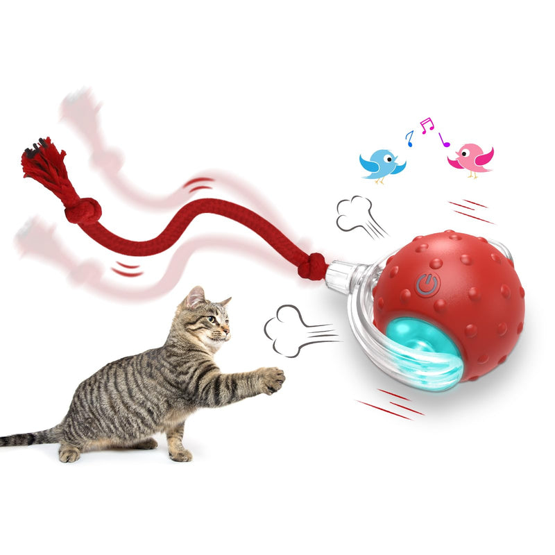 Interactive Cat Toys Ball for Indoor Cats Fast Rolling on Carpet, Chirping & Motion Activate Cat Toys (Red) Red - BeesActive Australia