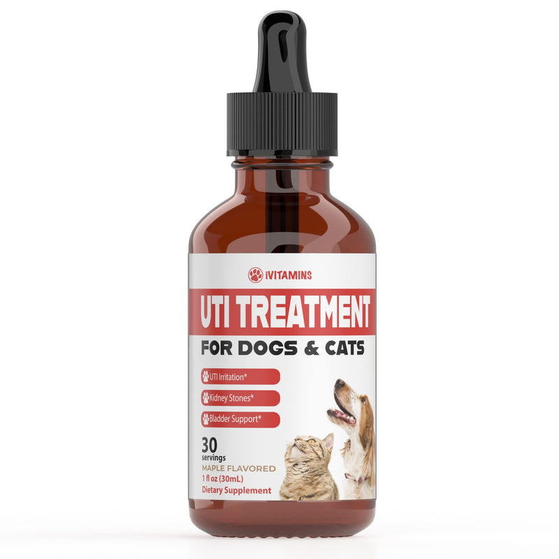 Dog UTI Treatment | Cat UTI Medicine | Cat UTI Remedy | Cranberry Supplement for Dogs | Pumpkin for Cats | Dog UTI | Cat UTI | Cranberry for Dogs | Cat Urinary Tract Infection Treatment | 1 fl oz - PawsPlanet Australia