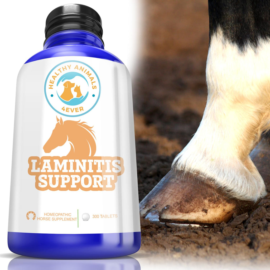 All-Natural Horse Laminitis Support - Horse Hoof Care Products for Damaged or Injured Hooves - Hoof Supplements for Horses - Homeopathic & Highly Effective - 300 Tablets