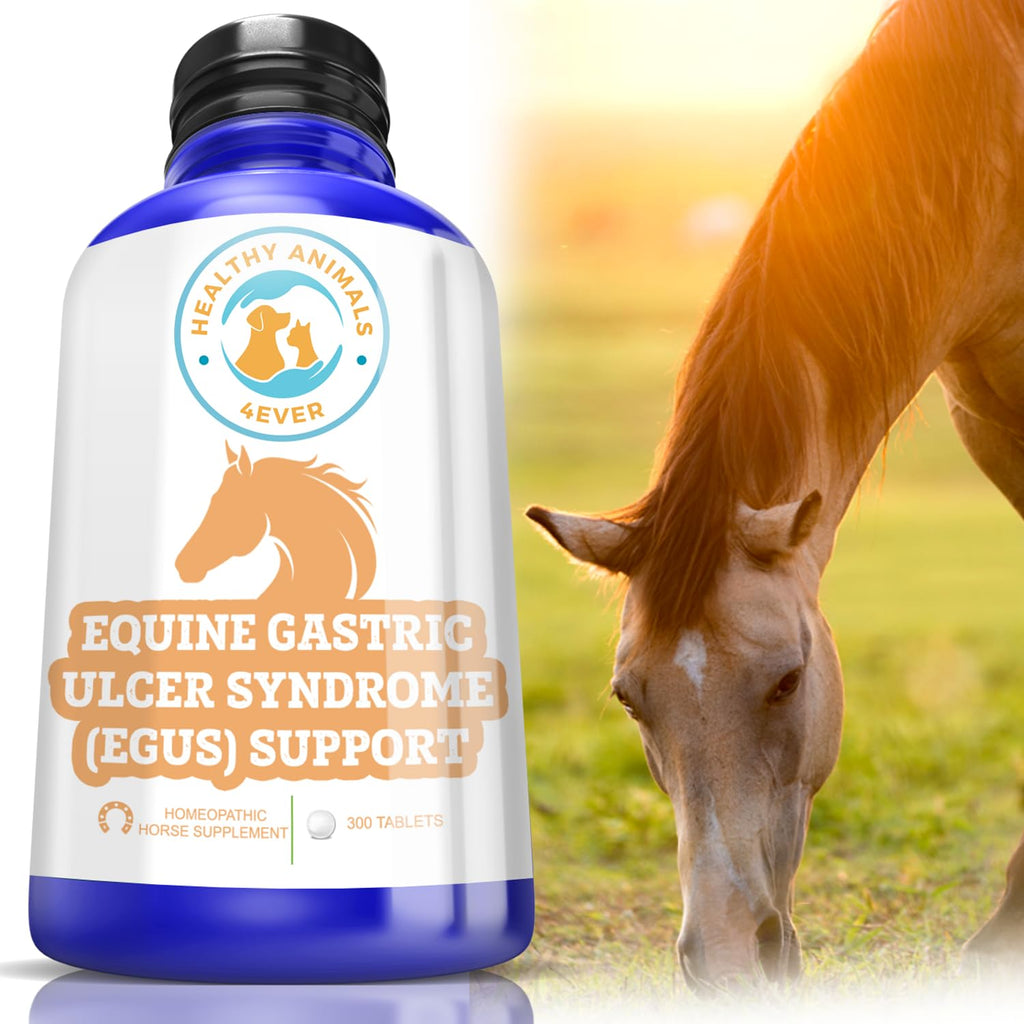 Horse All-Natural Equine Gastric Ulcer Syndrome (EGUS) Support -Reduces Ulcers & Other Stomach Lining Issues - Supplements for Horses - Homeopathic & Highly Effective-300 Tablets