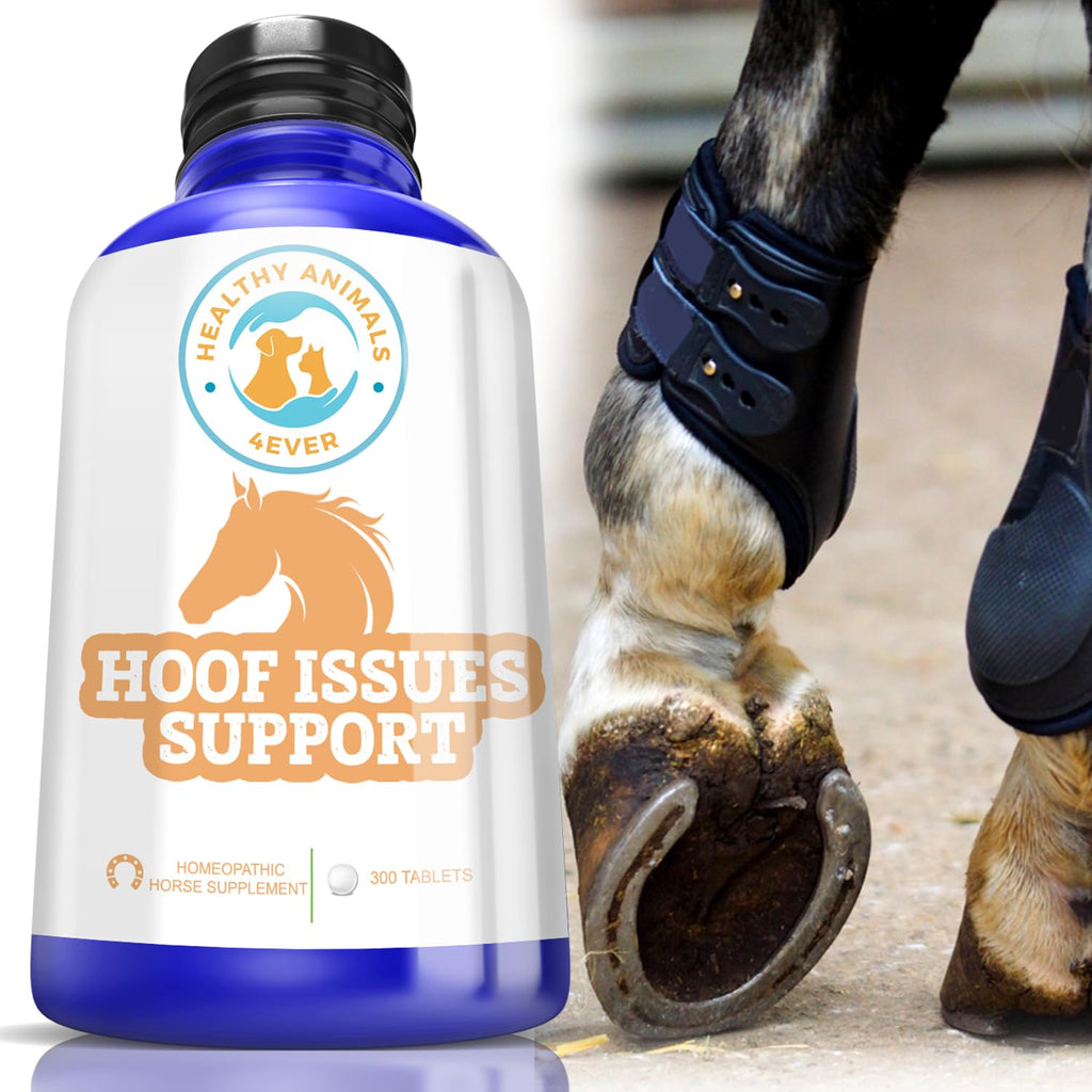 All-Natural Horse Hoof Support Pellets - Horse Hoof Care Products for Damaged or Injured Hooves - Hoof Supplements for Horses - Homeopathic & Highly Effective - 300 Tablets