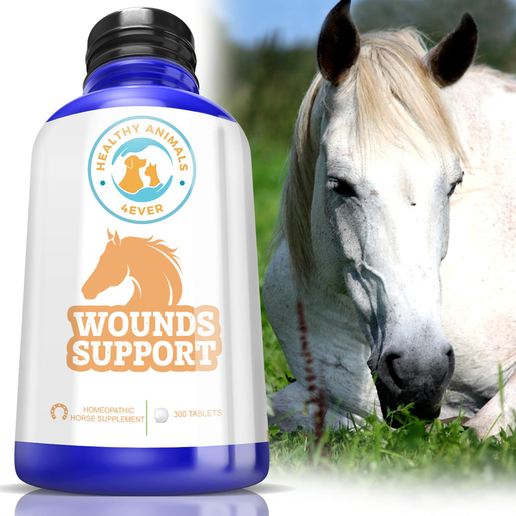 All-Natural Horse Wound Care for Accidents & Injuries - Pellets for Horse First Aid Kit - Homeopathic & Highly Effective - 300 Tablets