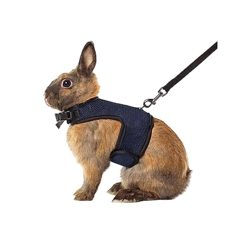 MANON ROSA Rabbit Harness and Leash Set - Adjustable Escape-Proof Training and Walking Gear for Guinea Pigs Bunnies Chinchillas Hamsters Ferrets Rats Kittens and Small Dogs Puppies Cats (Black,L) Black L - BeesActive Australia