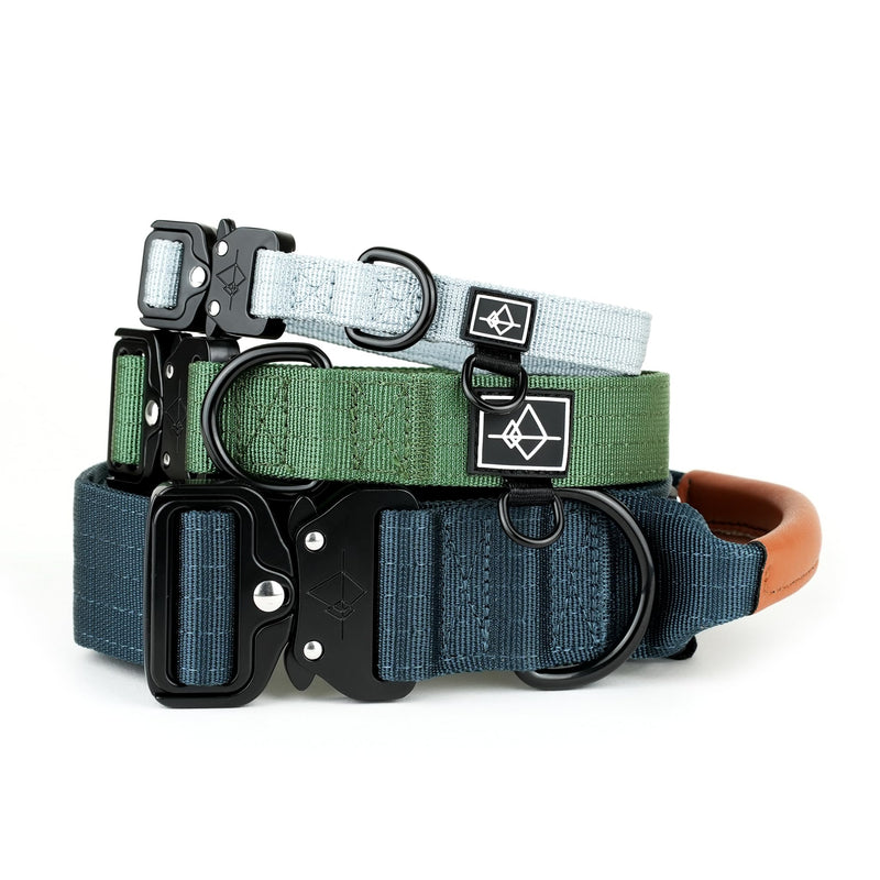 Made to ROAM Premium Dog Collar - Adjustable Heavy Duty Nylon Collar with Quick-Release Metal Buckle (Texas Flair, Classic Size 3) Texas Flair Classic 3 - BeesActive Australia