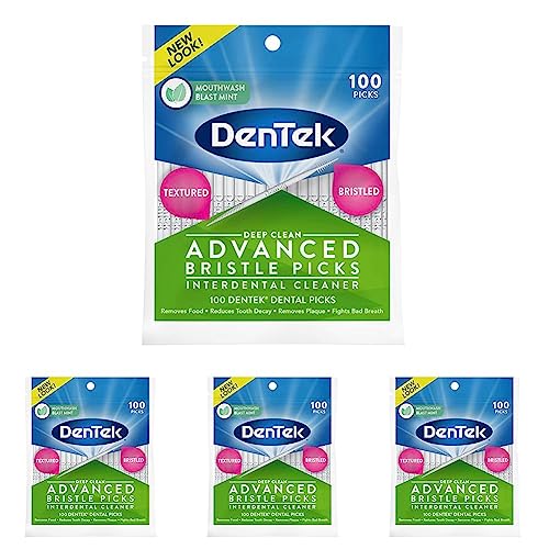 DenTek Deep Clean Bristle Picks 100 Count (Pack of 4) 100 Count (Pack of 4)