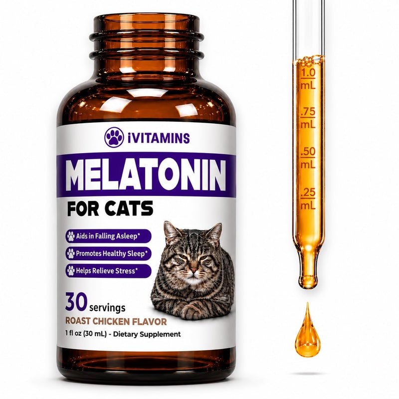 Melatonin for Cats | Supports Healthy, Restful Sleep for Your Cat | Cat Stress Relief | Cat Calming | Cat Anxiety Relief | Cat Melatonin | Anxiety Relief for Cats | Cat Sleep Aid | 1 fl oz