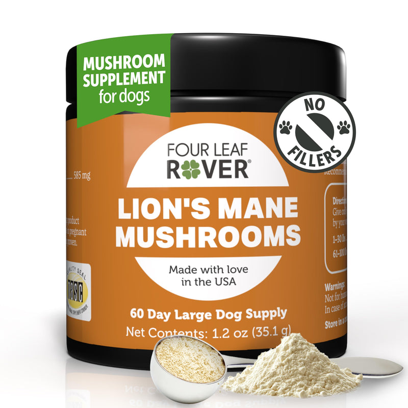 Lion's Mane Mushrooms for Dogs - Supports Healthy Brains and Nervous Systems in Dogs of All Ages - Organic Whole Mushrooms - 3rd Party Tested - 60 Day Large Dog Supply 1.2oz - PawsPlanet Australia