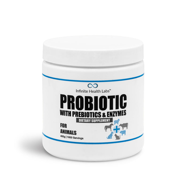 Probiotics for Dogs and Cats - Vet Formulated Pet Prebiotic & Enzyme Powder for Digestive, Gut & Immune Health - 1600 Servings (400 g) 400 g - PawsPlanet Australia