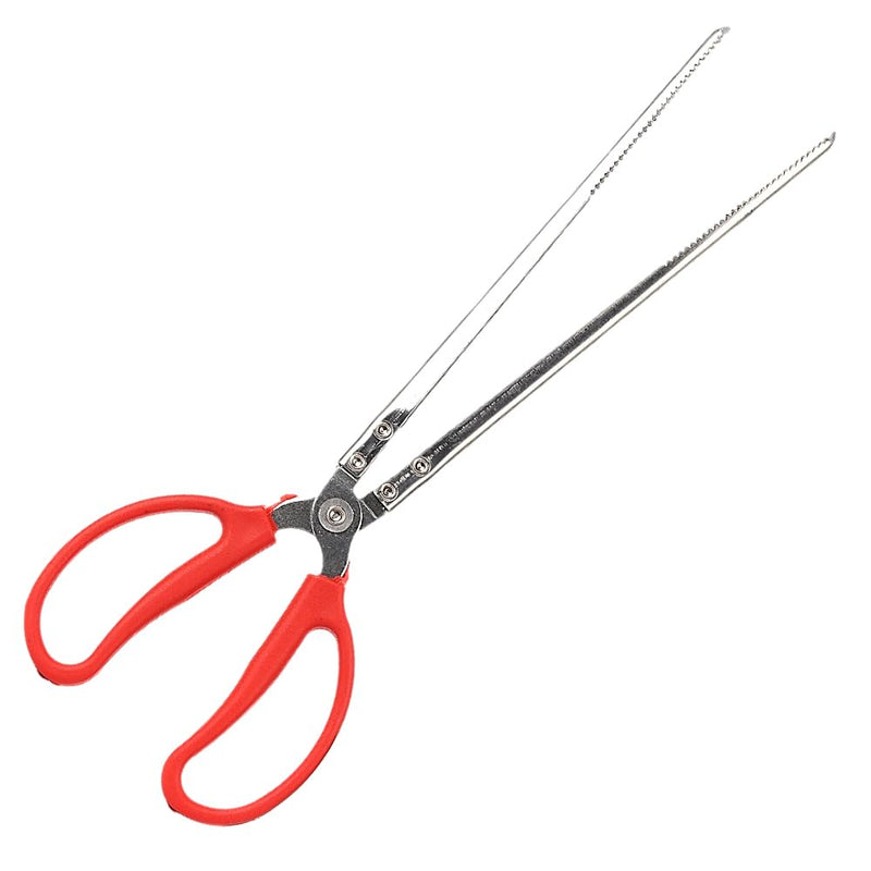 Snake Feeding Tongs, Ball Python Tank Accessories Supplies fit Corn Snakes - PawsPlanet Australia