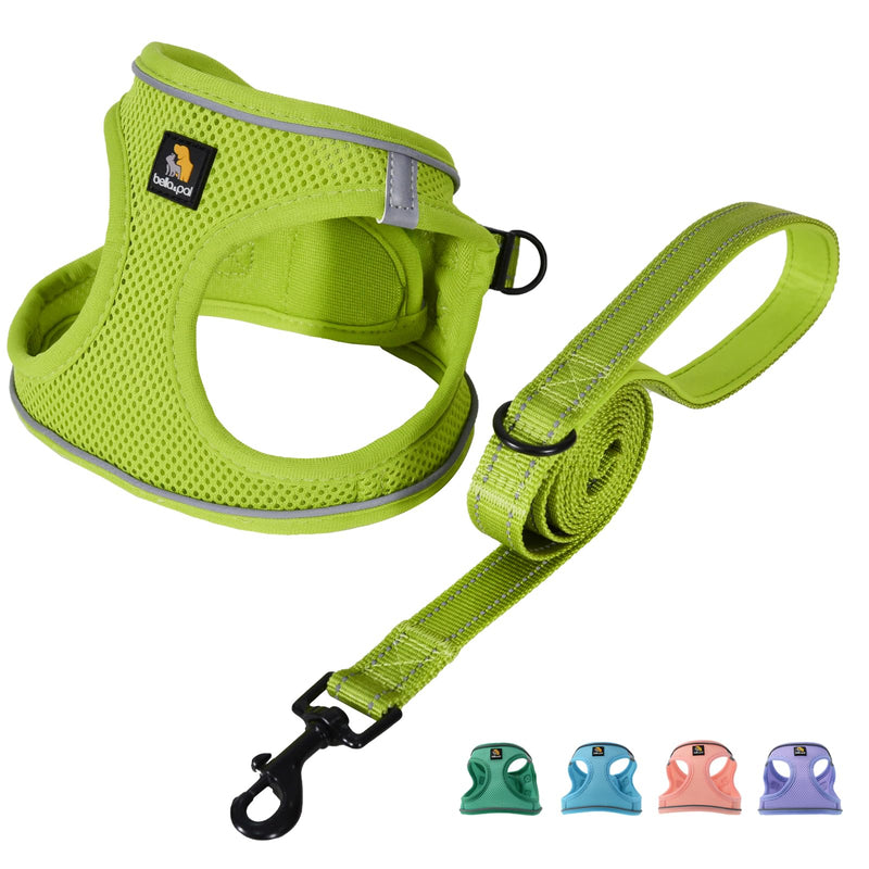 BELLA & PAL Puppy Harness with Leash Set, Dog Harness for Small Dogs No Pull, Dog Leash for Small Dogs, Step in Harness for Extra Small Dogs, Avocado Green Harness, S - BeesActive Australia
