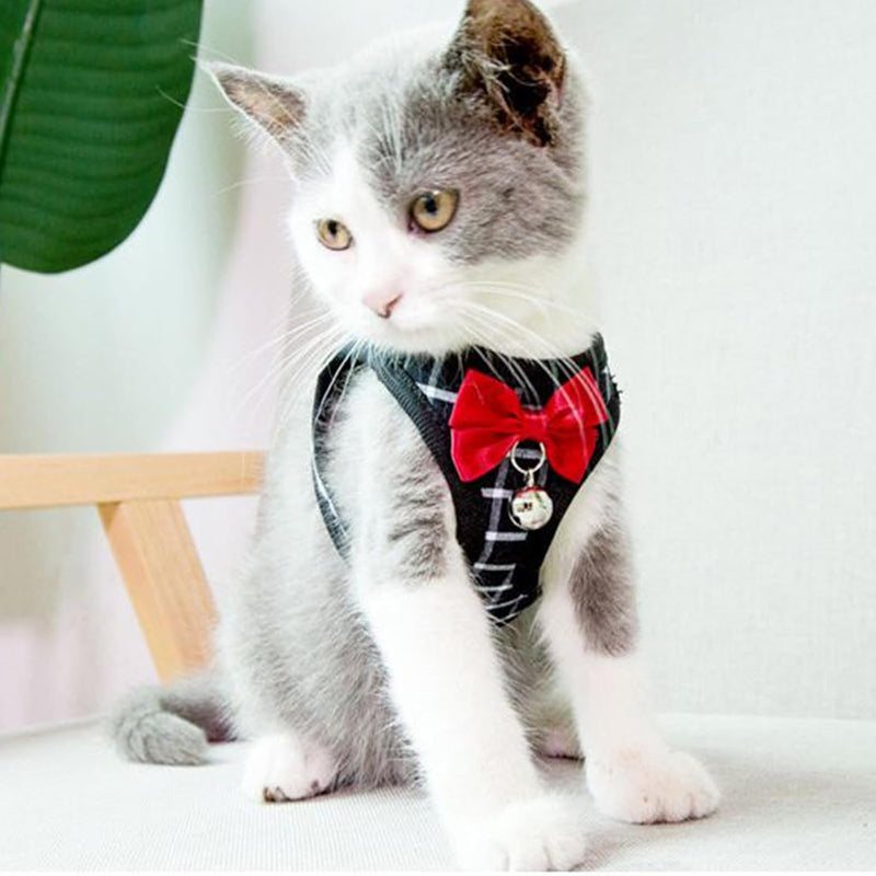 Cat Leash and Harness Set,Breathable Dog Harness,Pet Harness,Adjustable Mesh cat Harness and Leash Escape Proof for Puppy Cat Rabbit (Black, XS) Black - BeesActive Australia
