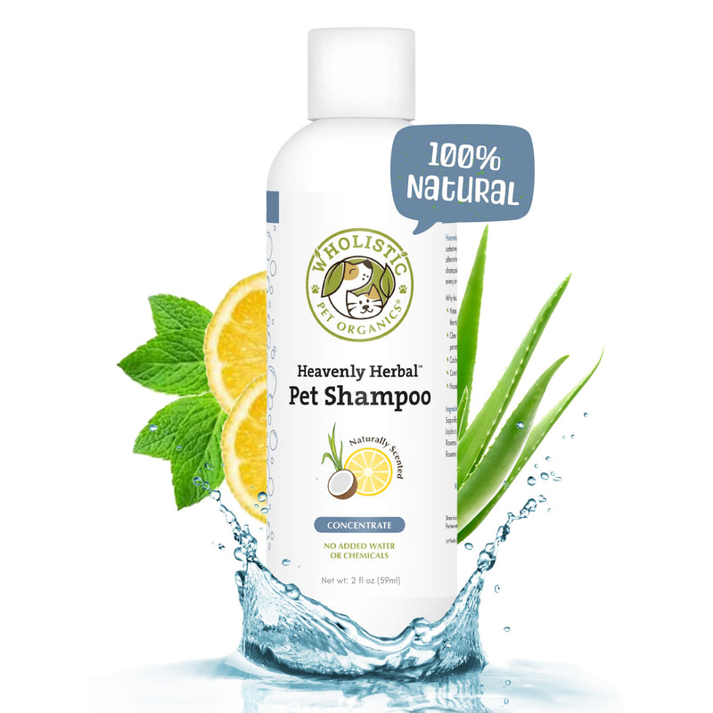 Wholistic Pet Organics Pet Shampoo Concentrate: Heavenly Herbal Organic Dog Shampoo and Conditioner - All Natural Puppy and Cat Shampoo for Dry, Itchy Skin, Allergies, Dandruff Shampoo 2.0 Ounces - BeesActive Australia