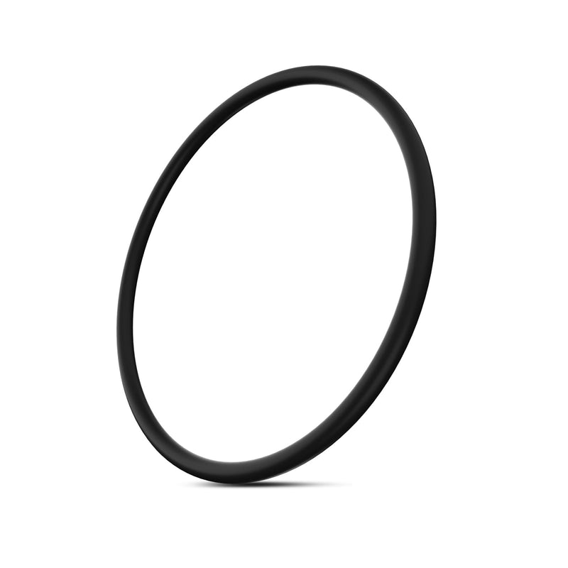 R0586300 Large Collar O-Ring Seal Replacement Zodiac Nature 2 Fusion, Jandy, Fusion Inground, Vision Pro Aboveground, Fusion Nature2 O-Ring - BeesActive Australia