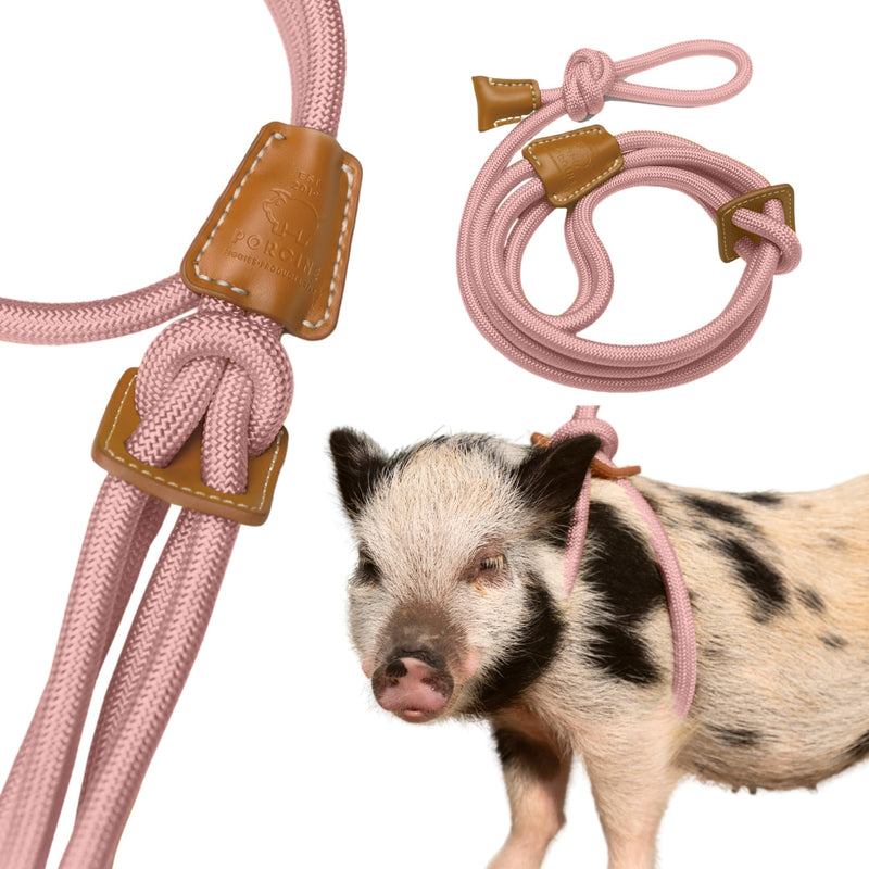 Pig Harness Leash-Fully Adjustable Pig Leash Harness for Small & Medium Pigs-Easy Step in Harness-Infinity Style Pet Pig Leash-Durable & Gentle Mini Pig Harness-Mini Pig Supplies (Small-Mauve Pink) Mauve Pink - BeesActive Australia