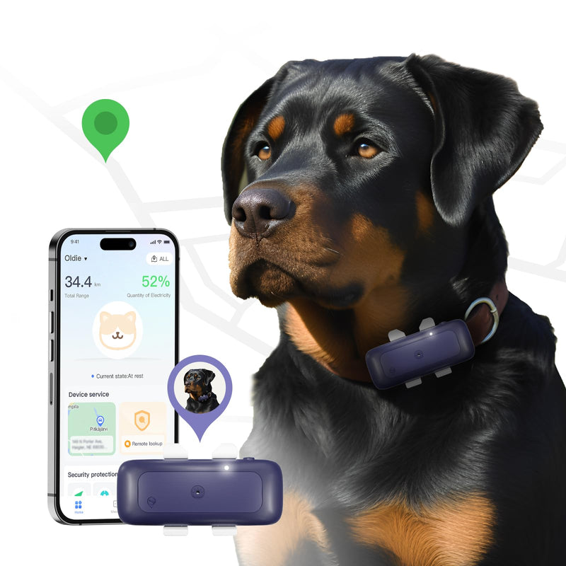 P1 GPS Dog Cat(6.5 lbs+) Tracker - Pet GPS Location Tracker for Anti Lost No Distance Limited, Waterproof, Real Time Tracking & Smart Activity, Fit All Pet Collars, Blue - BeesActive Australia