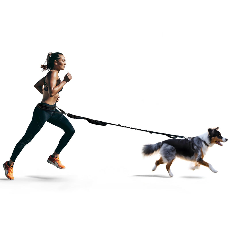 Dog Running Waist Belt - Running Dog Lead - Canicross Harness Carry Personal Items Running, Walks, Hikes - Waist Leads for Dogs with Belt Pouch, Converts into Canicrossing Line - Nifty Black - BeesActive Australia