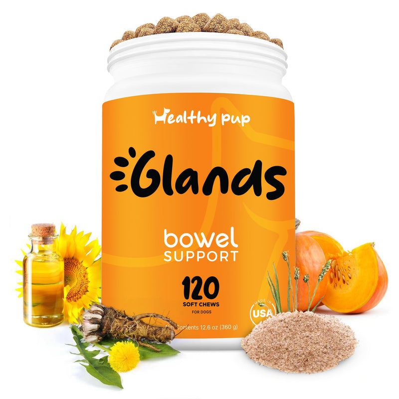 Glands Bowel Support - 120 Delicious Scoot Soft Chews for Scooting, Healthy Anal Glands, and Digestive Health - Made with Pumpkin Powder for Dogs - PawsPlanet Australia