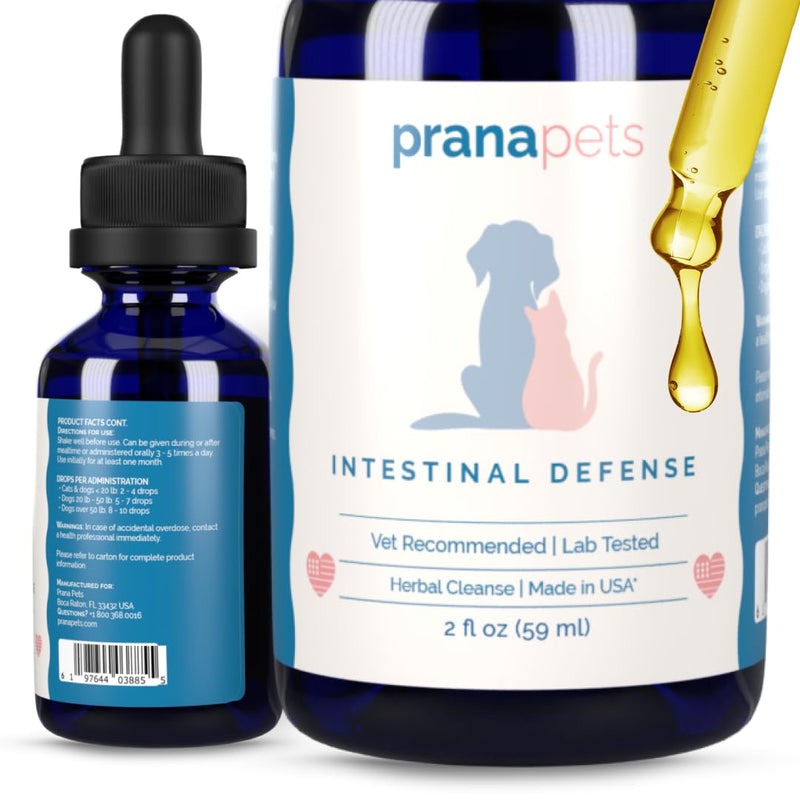 PranaPets Intestinal Defense Supplement for Dogs & Cats | Naturally Helps Digestive Issues in Pets | Herbal Formula 1 Pack - PawsPlanet Australia