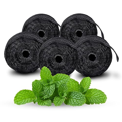 XLENT Expandable Charcoal Dental Floss Refills, Mint, 250m Total 164 Foot (Pack of 5)