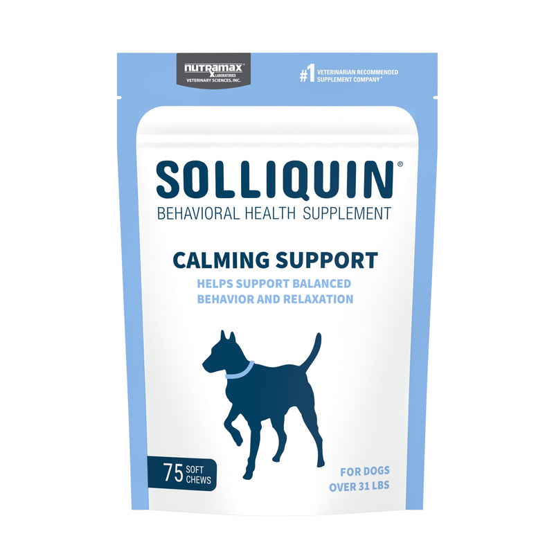 Nutramax Solliquin Calming Behavioral Health Supplement for Large Dogs - with L-Theanine, Magnolia/Phellodendron, and Whey Protein Concentrate, 75 Soft Chews 75 Ct Chew - Dog Only - PawsPlanet Australia