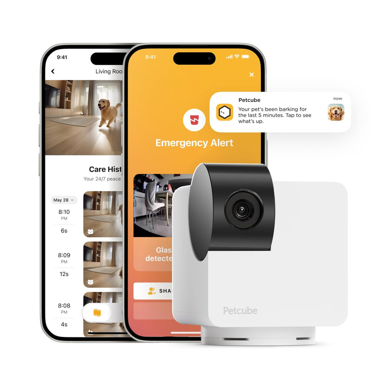 Petcube Cam 360 Camera Interactive WiFi Pet and Home Security Pan-Tilt Camera with Phone App, 1080p HD Video, 360° Rotation, Night Vision, AI Alerts Cam 360 – Camera Only - BeesActive Australia