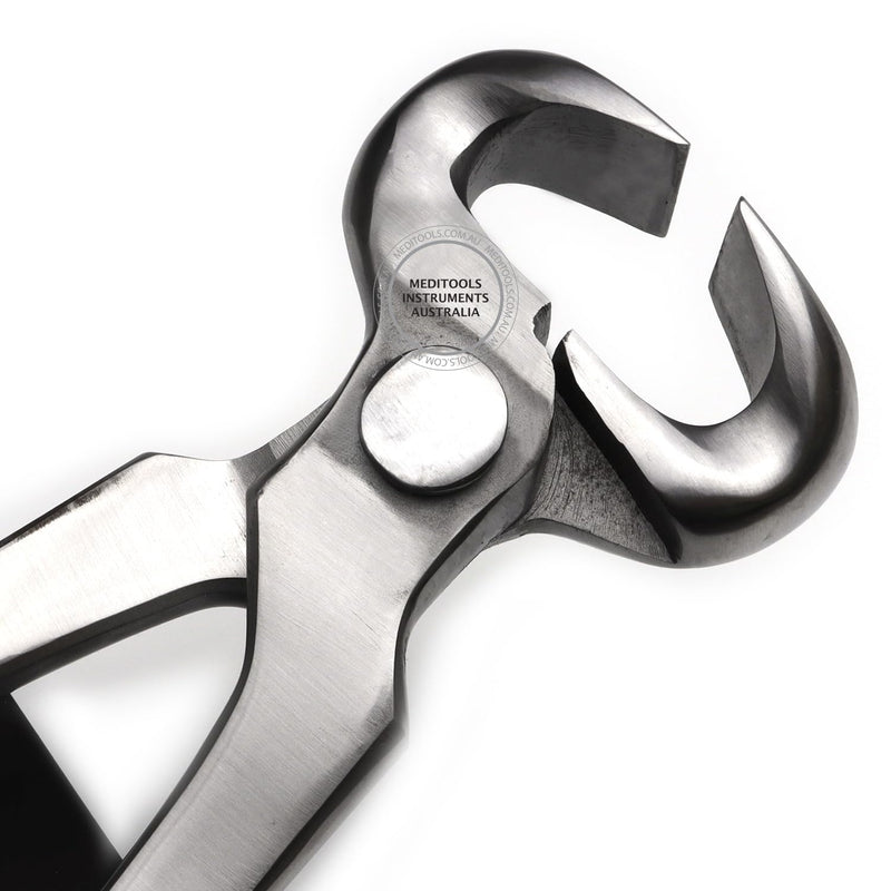 Farrier Hoof Nippers 12", Hoof Trimming, Horseshoeing, Trimmer Farrier Trimmers Tools Dropped Forged, Vanadium Steel, Premium - BeesActive Australia