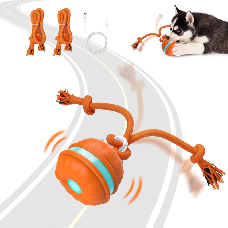 Interactive Dog Toys, Motion Activated Dog Ball, Automatic Rolling Ball Toys for Puppy/Small Dogs - BeesActive Australia