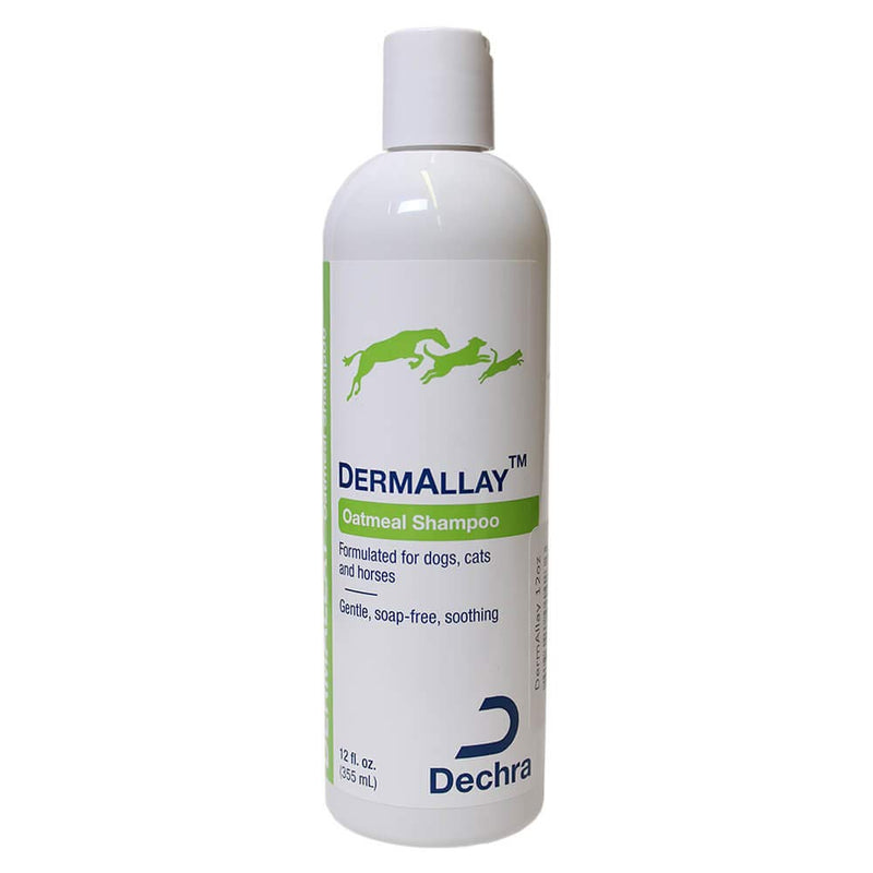 Oatmeal Shampoo, 12 Ounce - BeesActive Australia